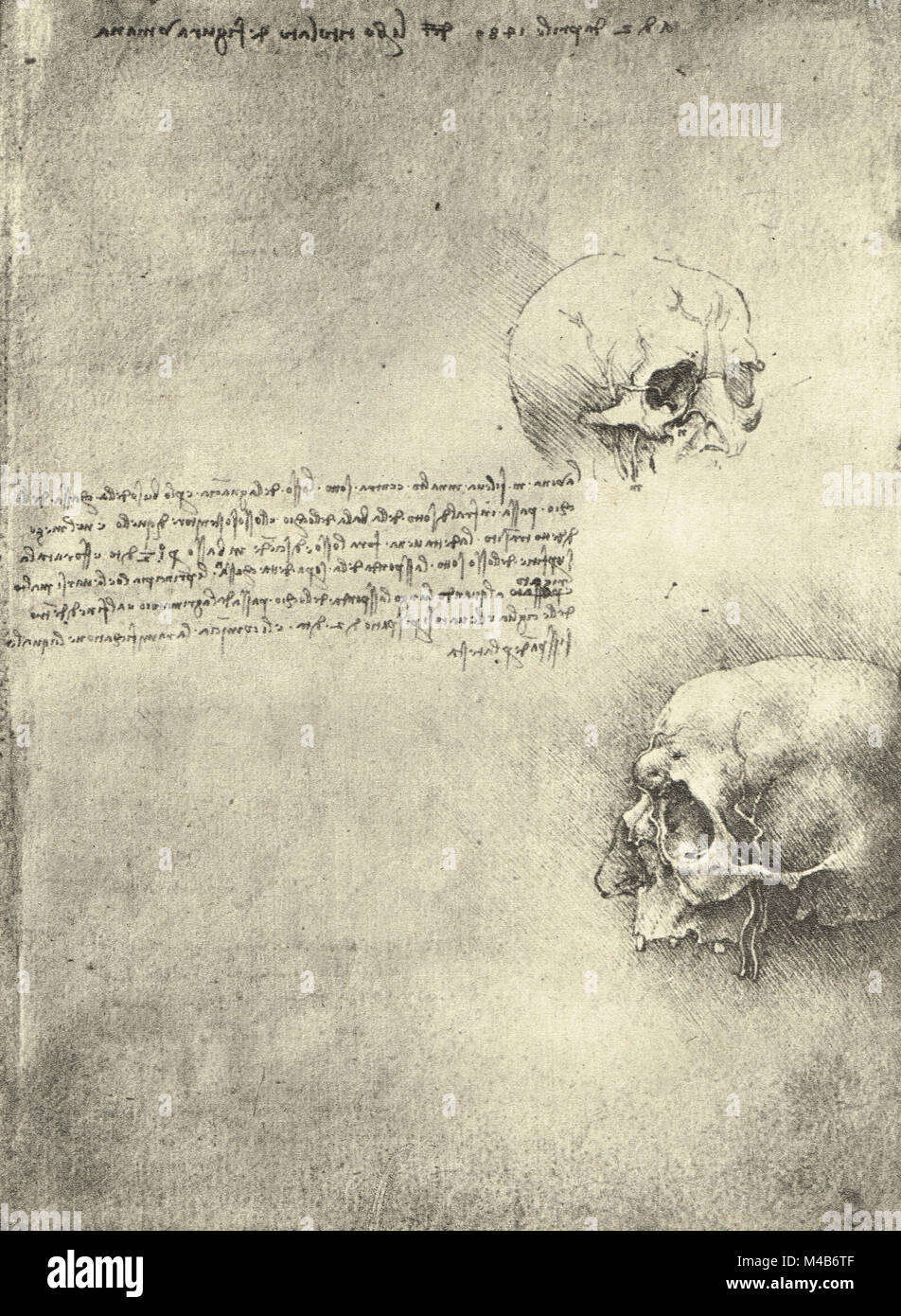 Zwei Zeichnungen, knöcherne Struktur des Kopfes, anatomische Studie der Schädel, von Leonardo Da Vinci, ca. 1489 gezeichnet Stockfoto