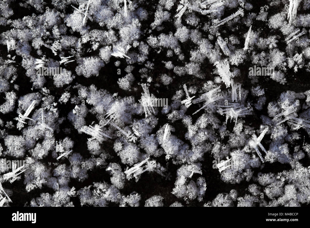 Schneekristalle auf dem Boden Stockfoto
