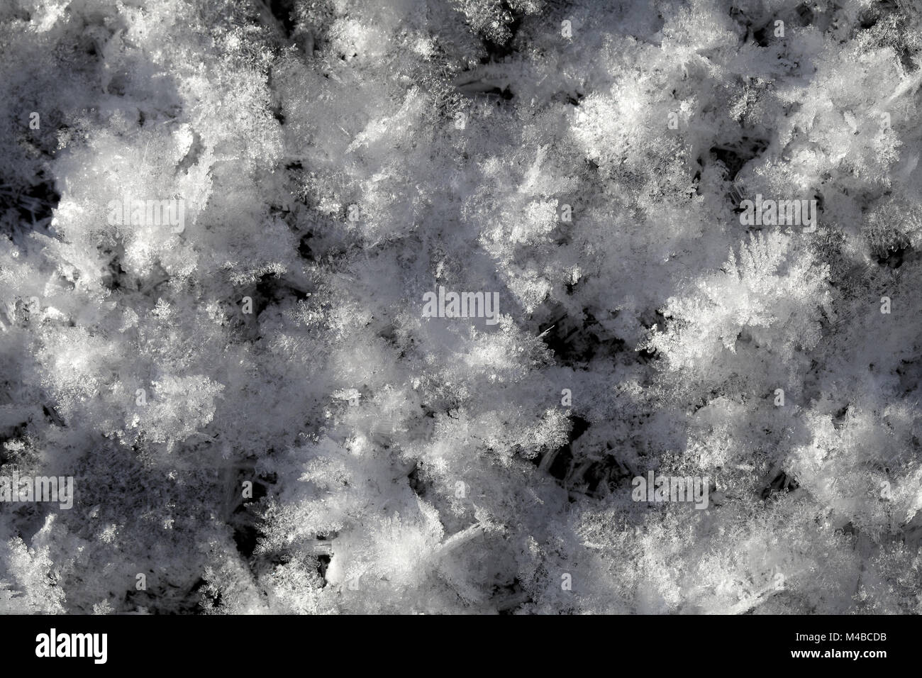 Schneekristalle auf dem Boden Stockfoto