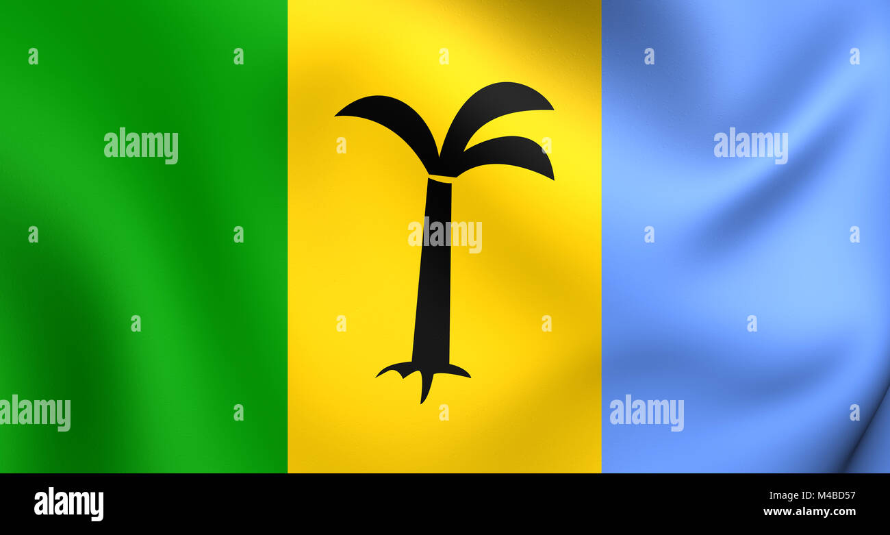 Flagge von Saint-Christopher-Nevis-Anguilla. Hautnah. Stockfoto