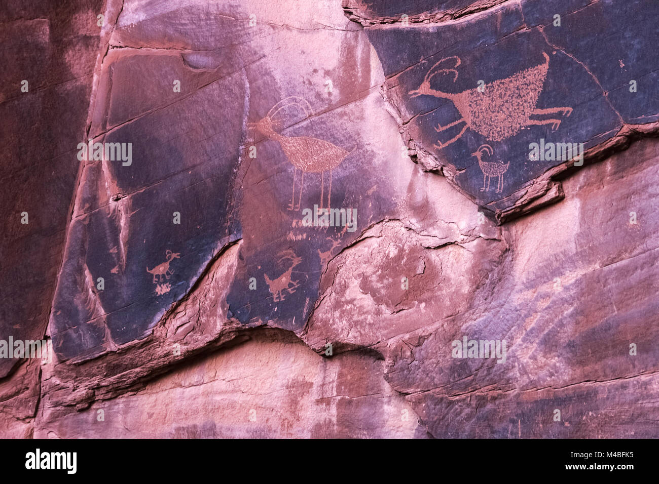 Berühmten geschnitzten Anasazi petroglyphen Die Darstellung von Tieren in das Monument Valley Navajo Tribal Park, Arizona. Stockfoto