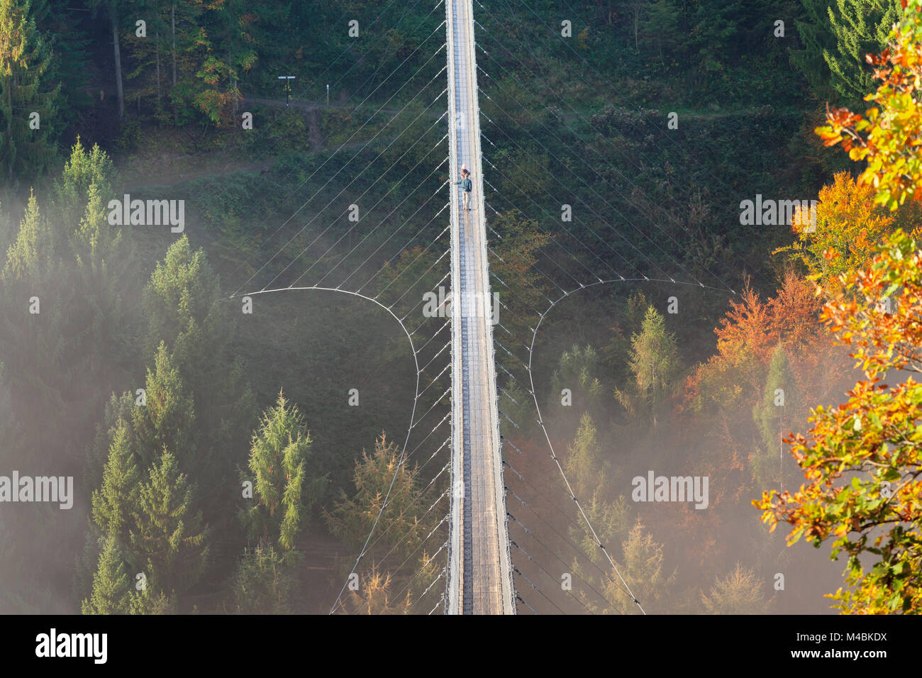 Hängende Seilbrücke, Geierlay Mörsdorfer Bachtal, Mörsdorf, Hunsrück ...