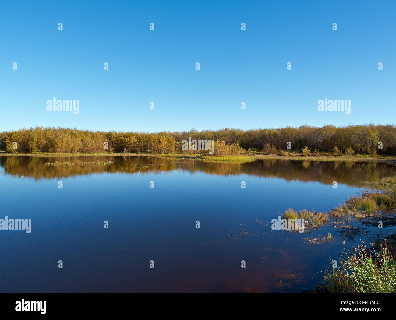 Fall River, spiegelt sich in dem Wasser Herbst Bäume. Stockfoto