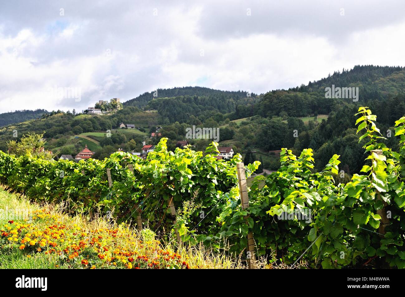 Der Herbst auf der Burg Windeck Schwarzwald Deutschland Stockfoto
