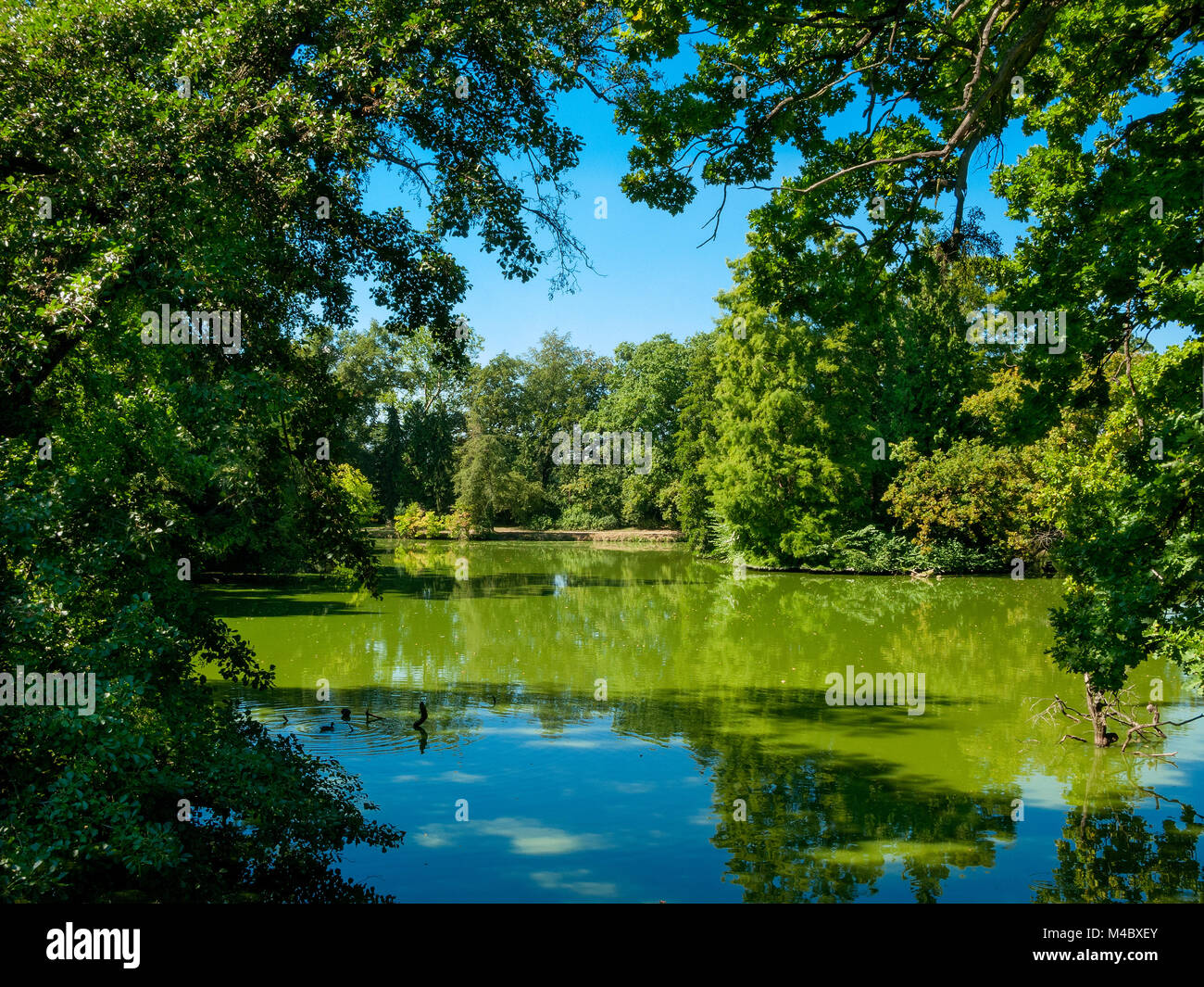 Teich im ehemaligen Liechtenstein Sommerresidenz, LedniceValtice Areal