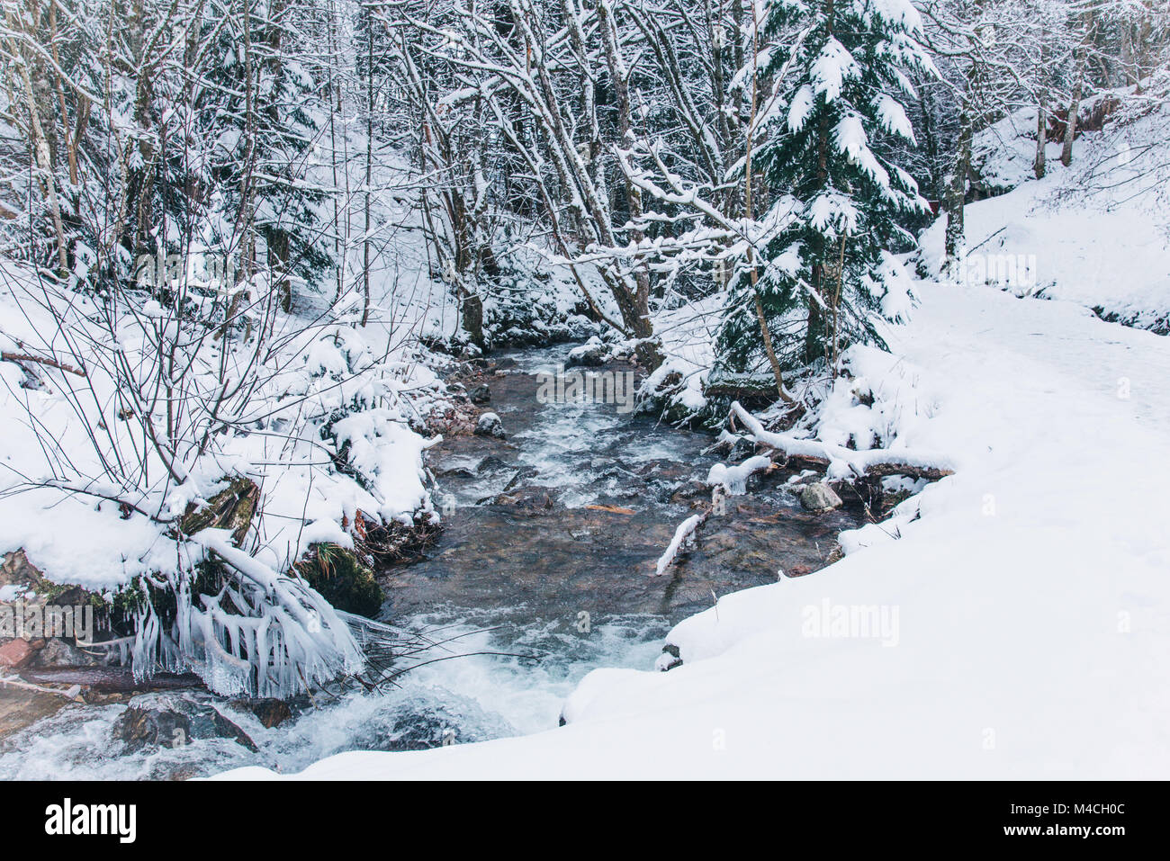 Winterlandschaft in den Wald. Stockfoto
