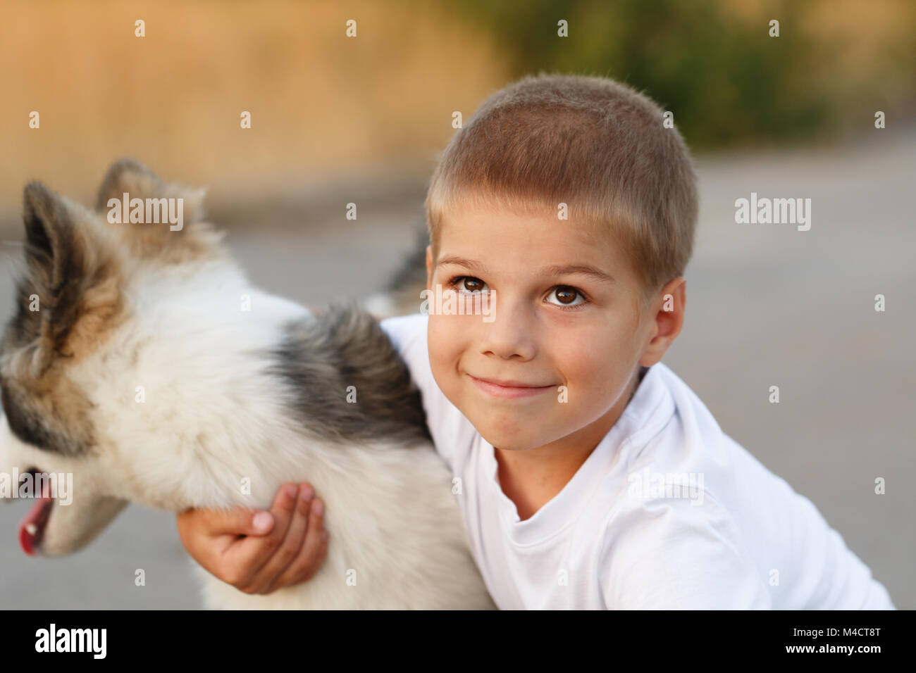 Ein kleiner Junge ist umarmt seinen besten Freund. Ein Haustier durch den Hund. Rassehund Yakut Husky. Stockfoto