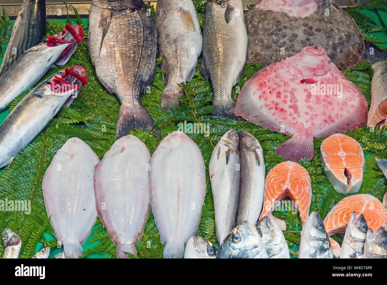Frischer Fisch auf einem Markt in Istanbul, Türkei Stockfoto