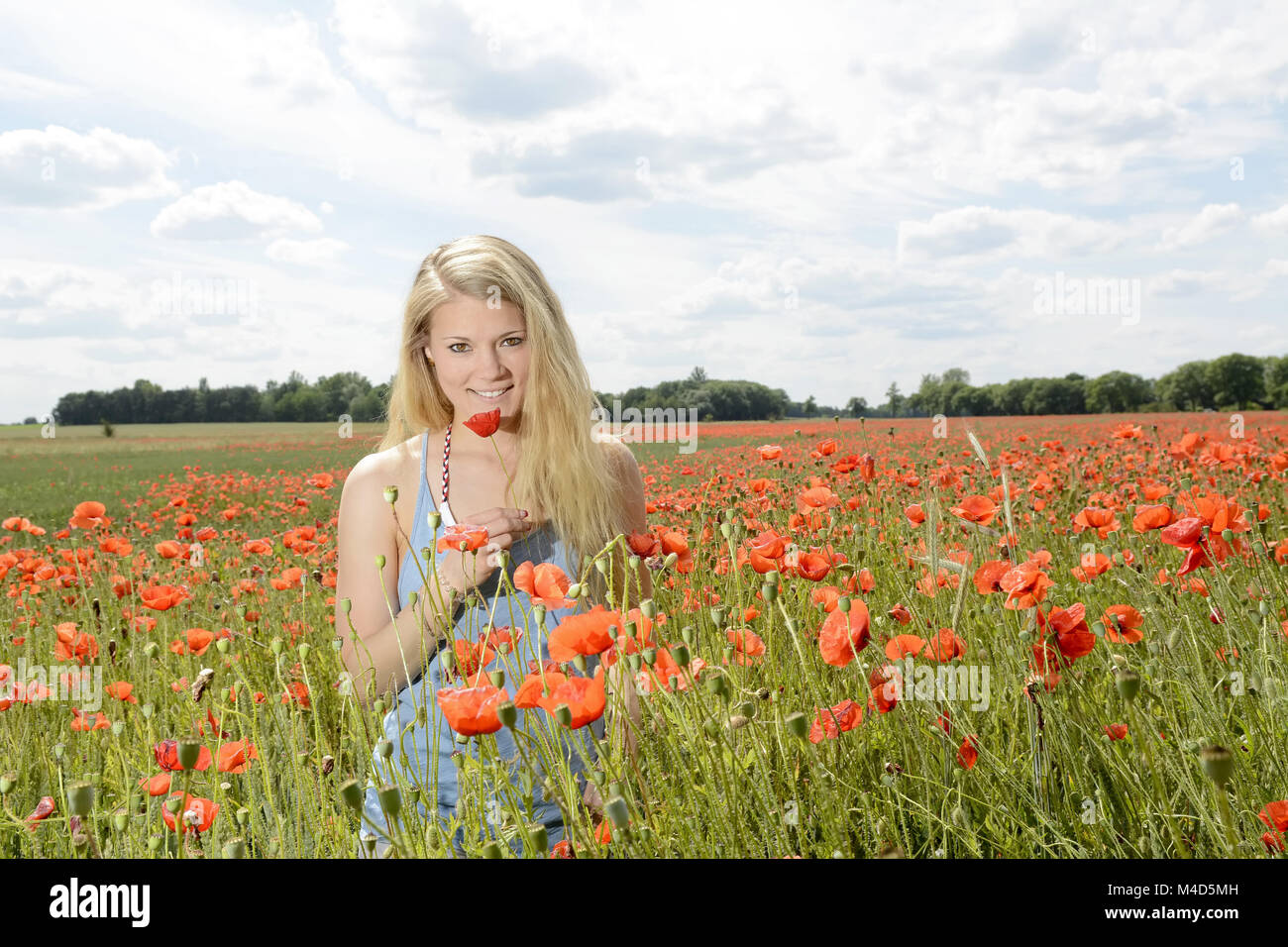 Frau im Mohnfeld Stockfoto