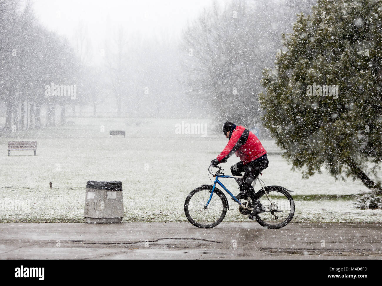 Radfahren im Park Schnee schneit Stockfoto