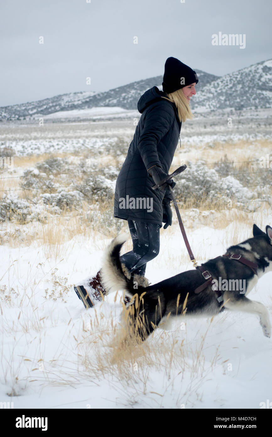 Eine weibliche Besitzer versucht, mit ihrem Husky Hund Herumtollen im Schnee, in der Wüste von Utah zu halten. Stockfoto