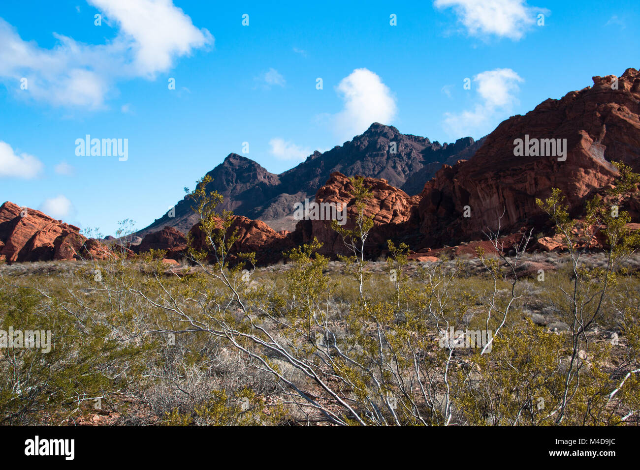 Landschaft in der Lake Mead National Recreation Area, USA Stockfoto