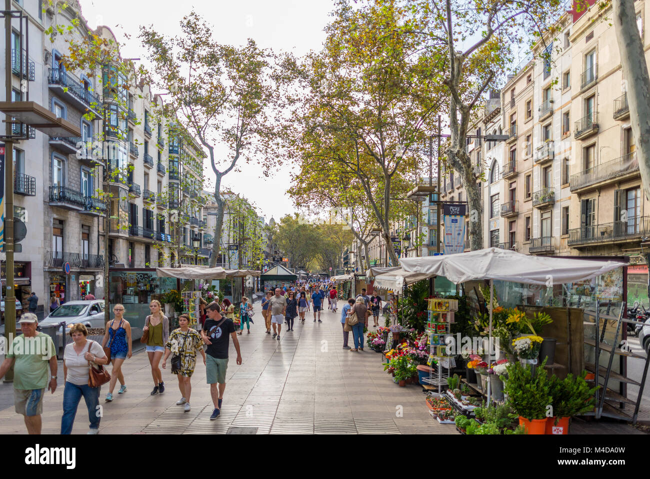 Die berühmte La Rambla in Barcelona. Stockfoto