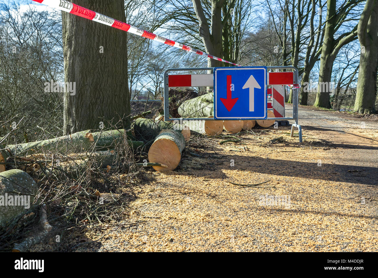 Probleme mit dem Verkehr Verkehrsschild Schäden durch Sturm umgefallene Baum Stockfoto