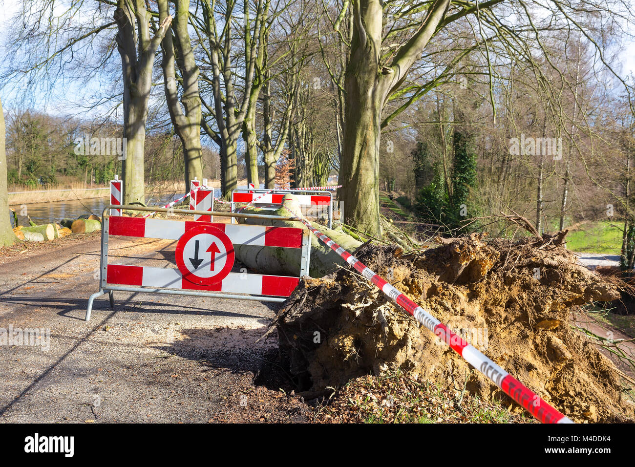 Probleme mit dem Verkehr Verkehrszeichen Schäden durch Sturm umgefallene Baum Stockfoto