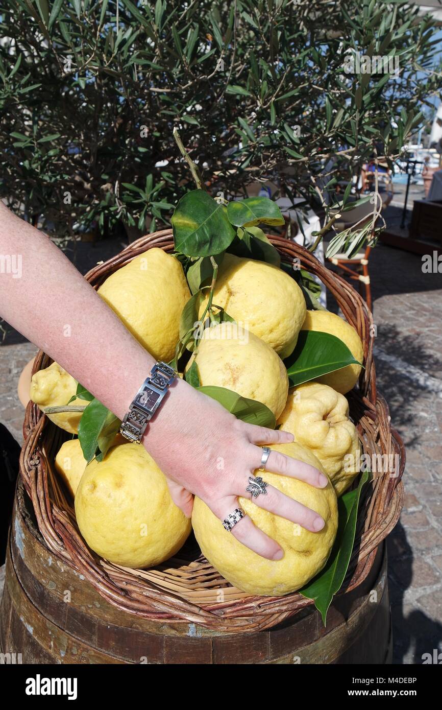 Women's Hand reicht für Zitronen Stockfoto