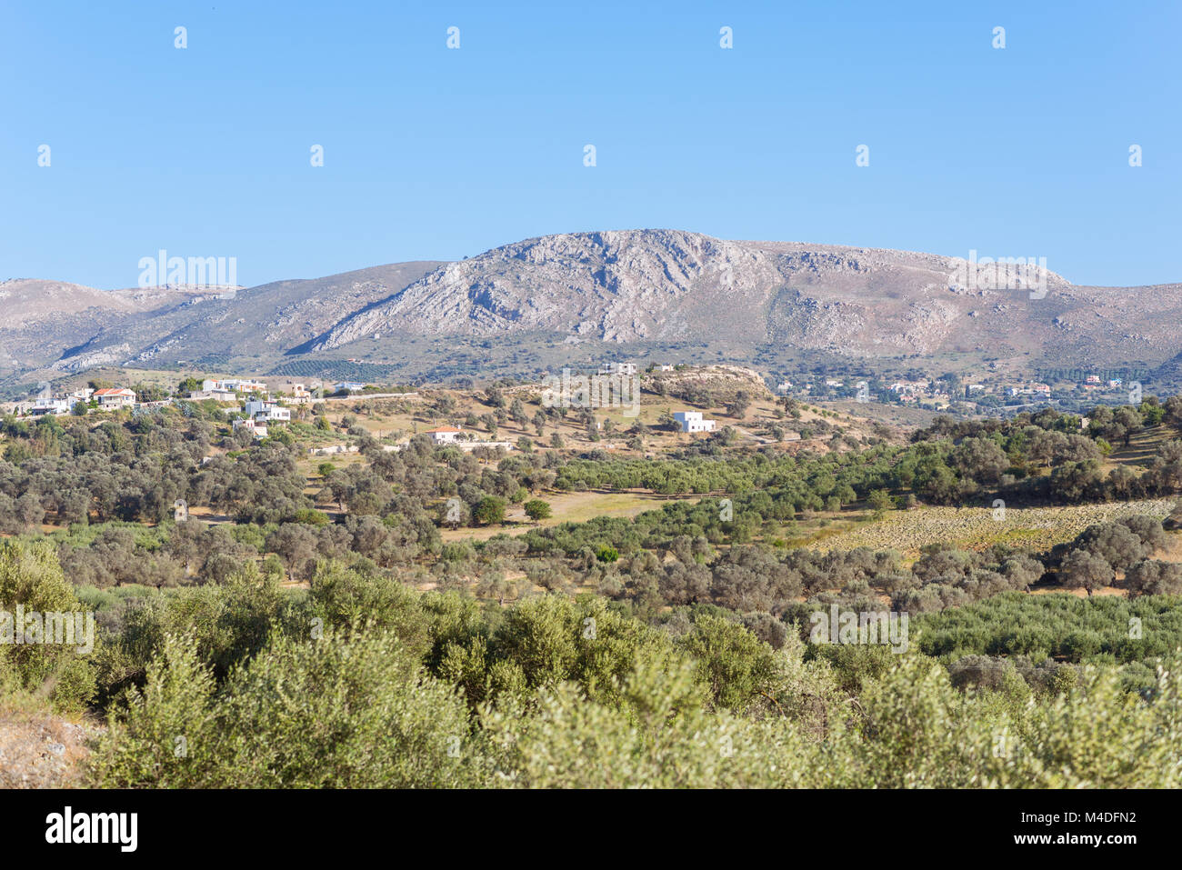 Landwirtschaft und Olivenhainen bestimmen das Bild auf Kreta Stockfoto