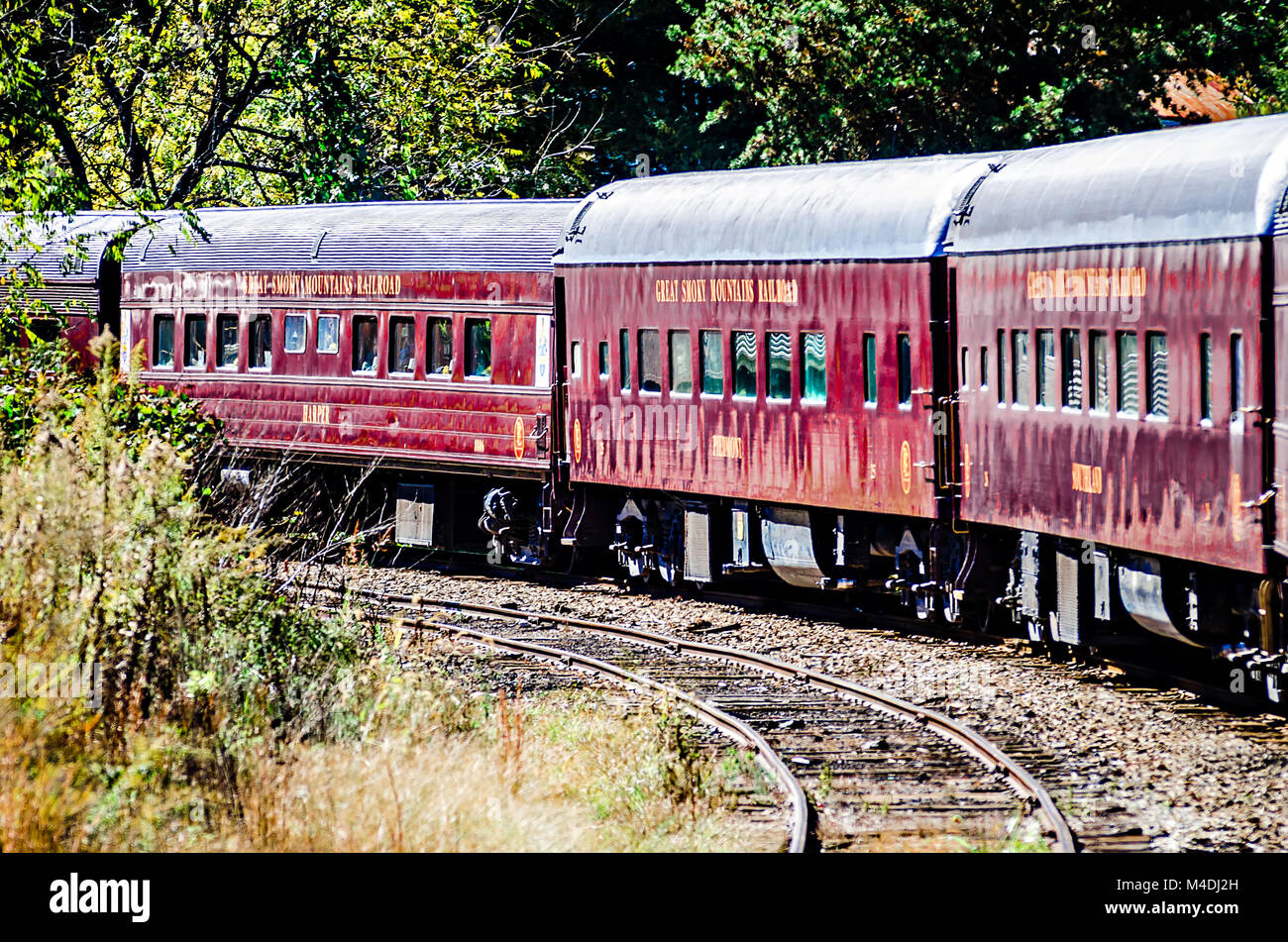 Zug Personenwagen der Great Smokey Mountain Eisenbahn Stockfoto