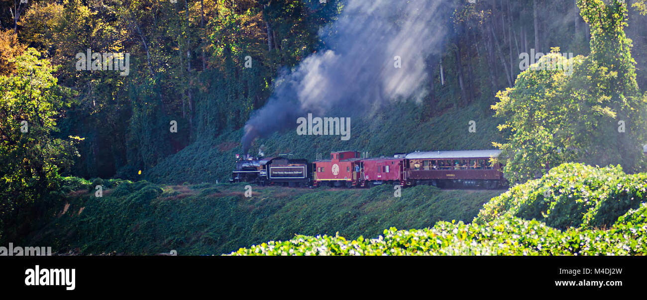 Zug Personenwagen der Great Smokey Mountain Eisenbahn Stockfoto