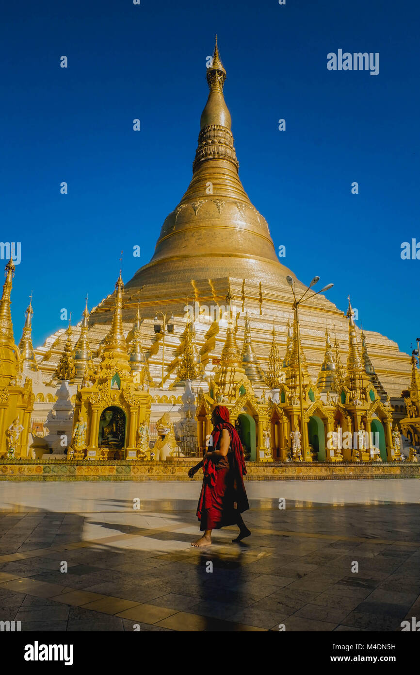 Mönch vorbei Shwedagon Pagode in Yangon, Myanmar Stockfoto