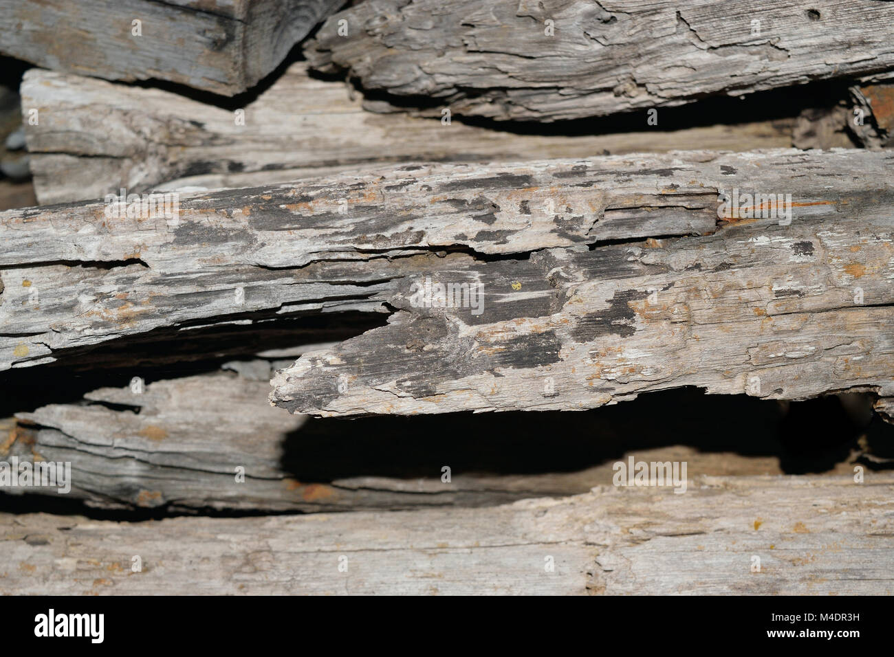 Alte Stücke von trockenem Holz Stockfoto