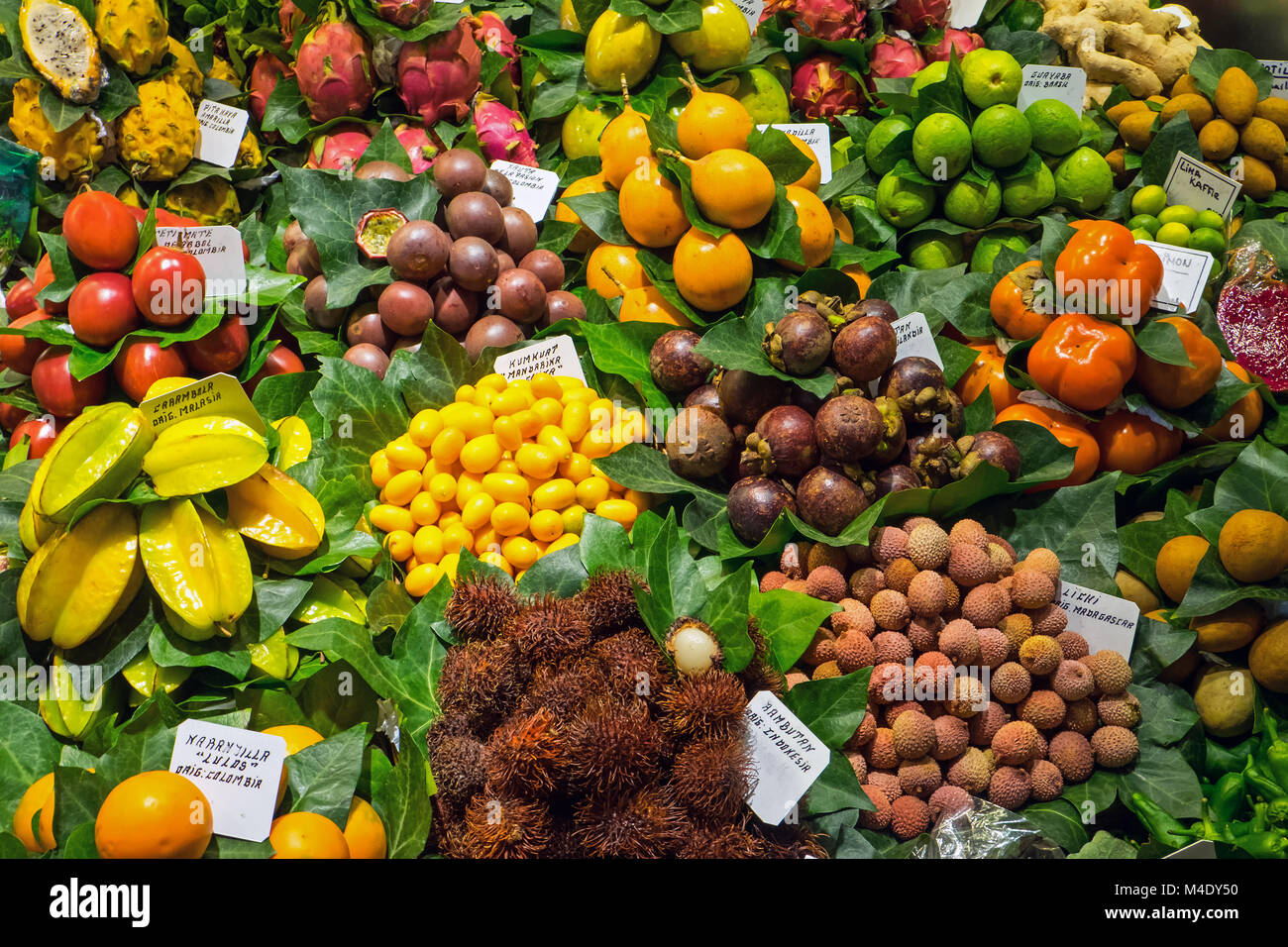 Tropische Früchte in der Boqueria-Markt in Barcelona, Spanien Stockfoto