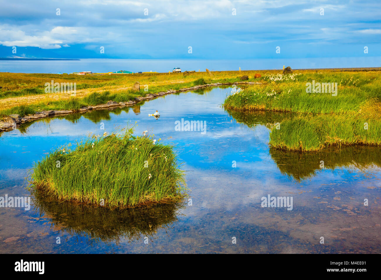 Blumenwiese und teich Fotos und Bildmaterial in hoher Auflösung Alamy