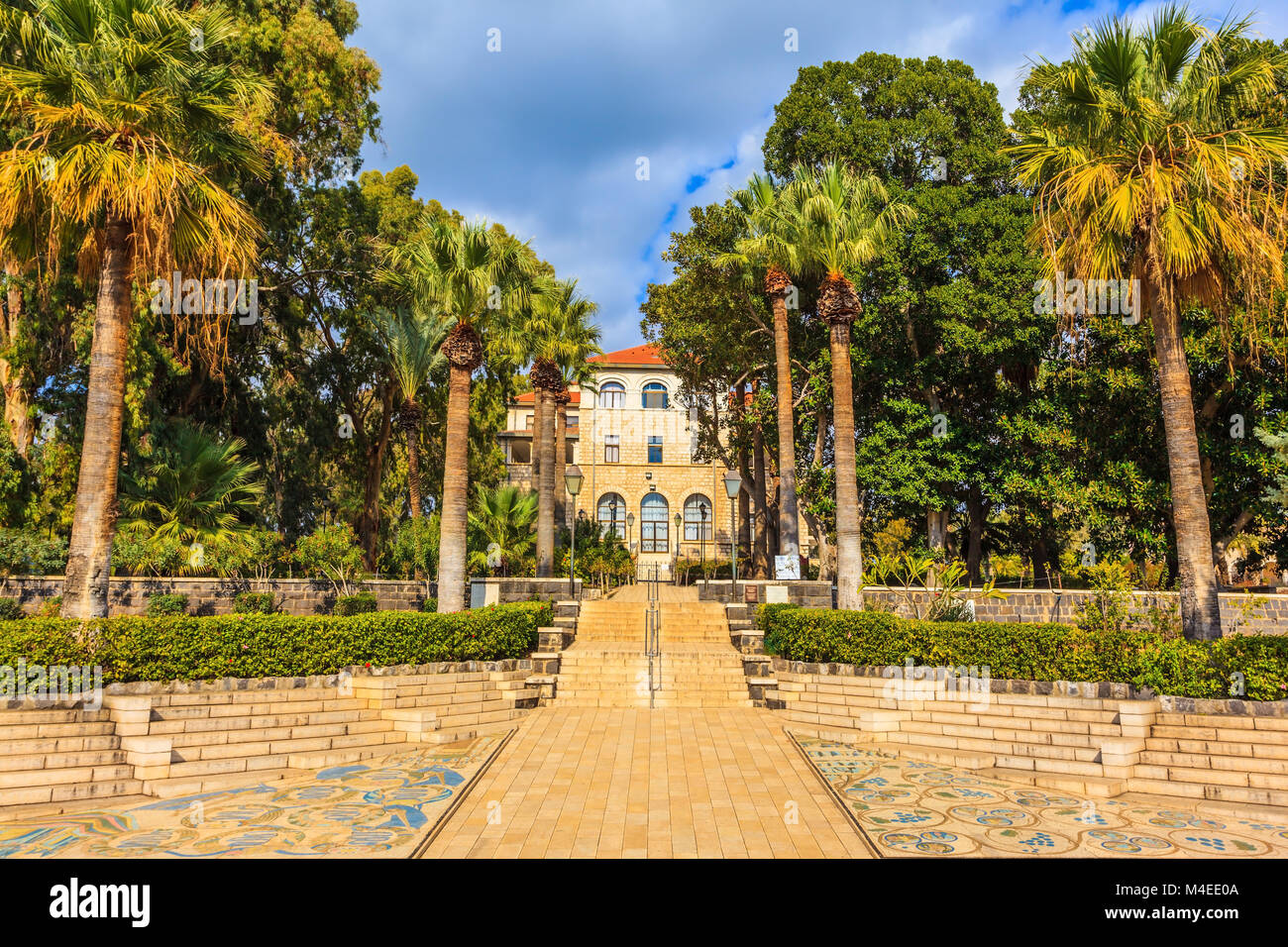 Palm Park gibt Licht Schatten Stockfoto