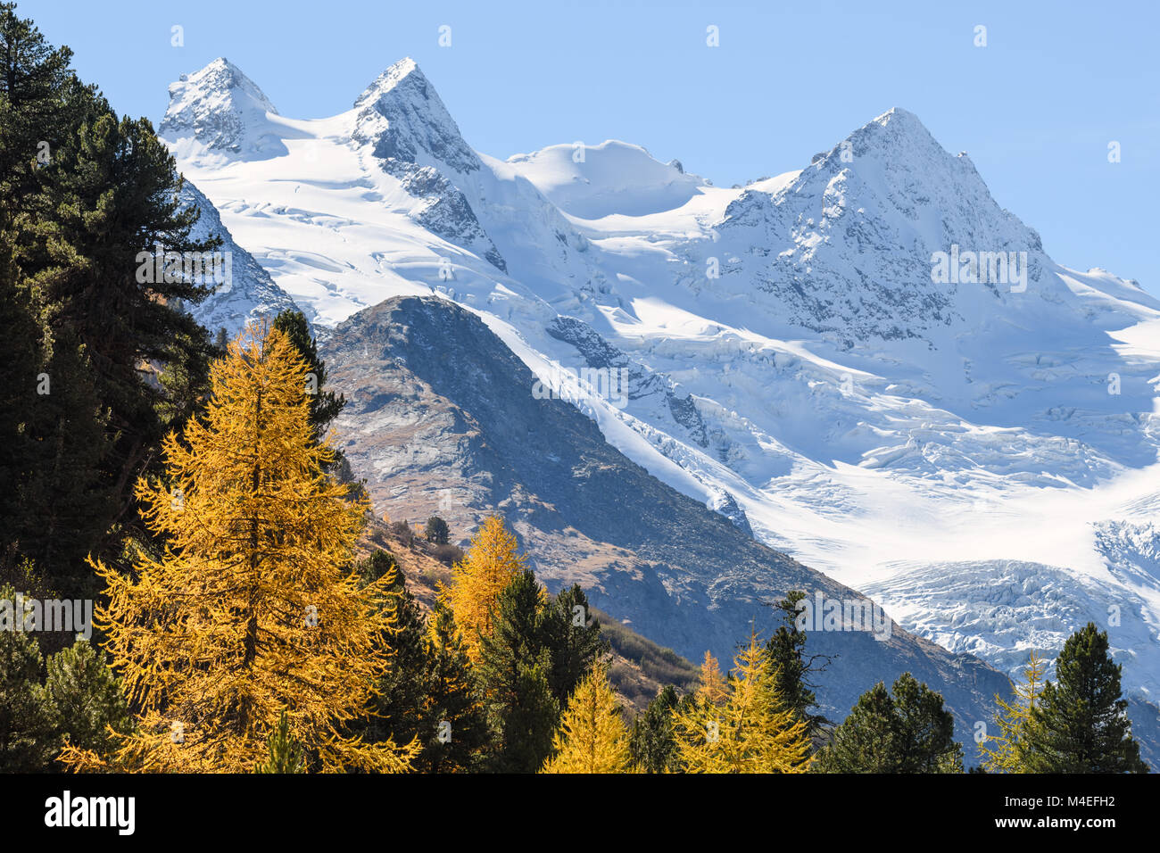 Schneebedeckte Berge und Herbstbäume, Engadiner Tal, Schweiz Stockfoto