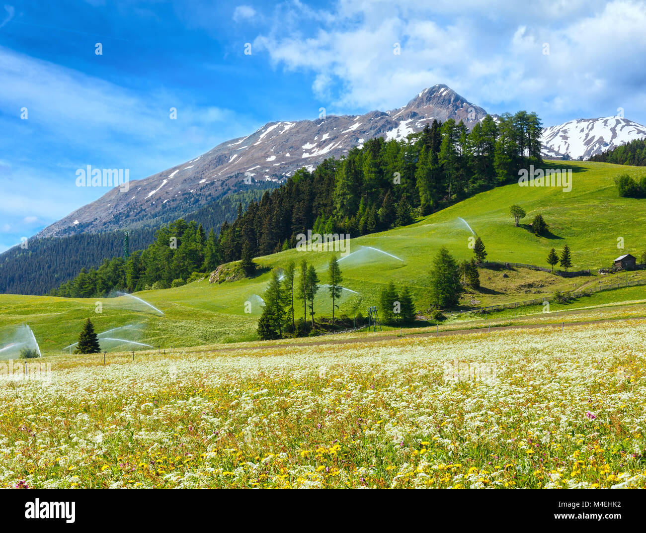 Wasser zur Bewässerung Tüllen im Sommer Alpen Berg Stockfoto