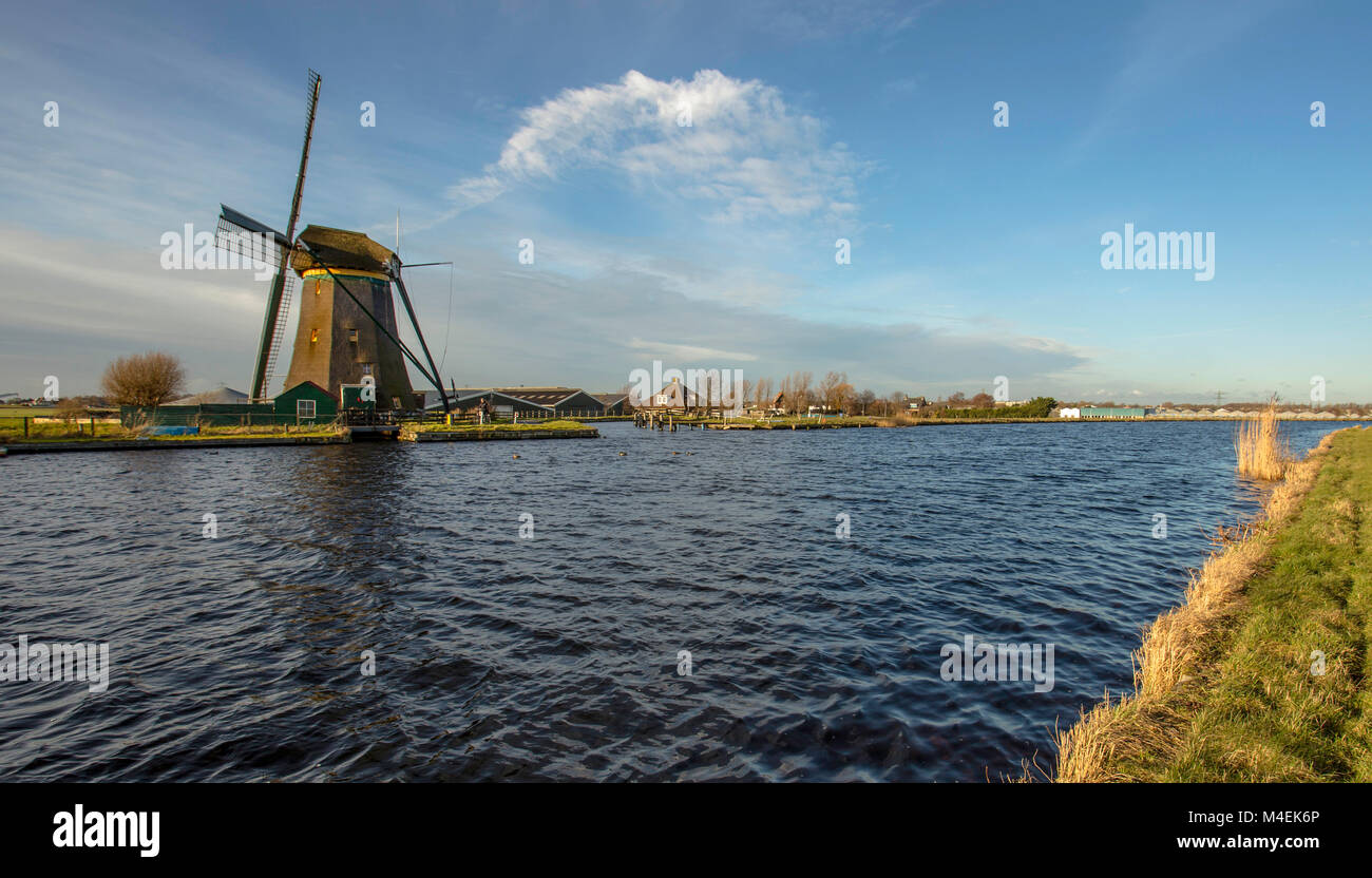 Typisch holländische Polderlandschaft mit Blick auf die Lisserpoelmolen, einem historischen Entwässerung Mühle, in Lisse, Südholland, Niederlande. Stockfoto