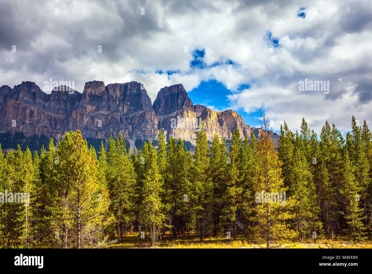 Die schöne Natur der Rocky Mountains. Stockfoto