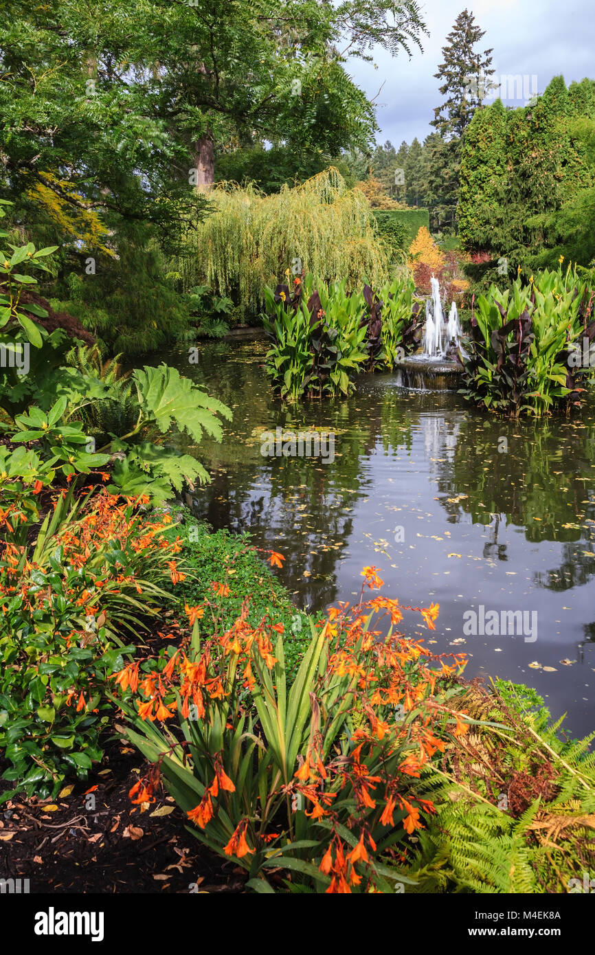 Herbst park Butchart Gardens Stockfoto