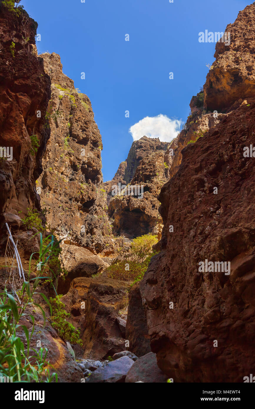 Berühmte Schlucht Masca auf Teneriffa - Kanarische Stockfoto