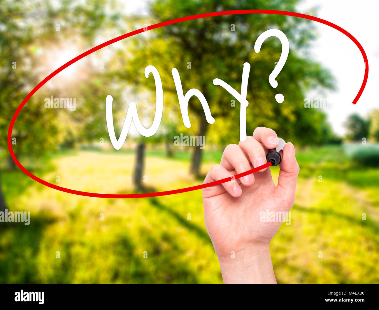 Mann Hand schreiben Warum? Mit schwarzem Marker auf visuelle Bildschirm Stockfoto