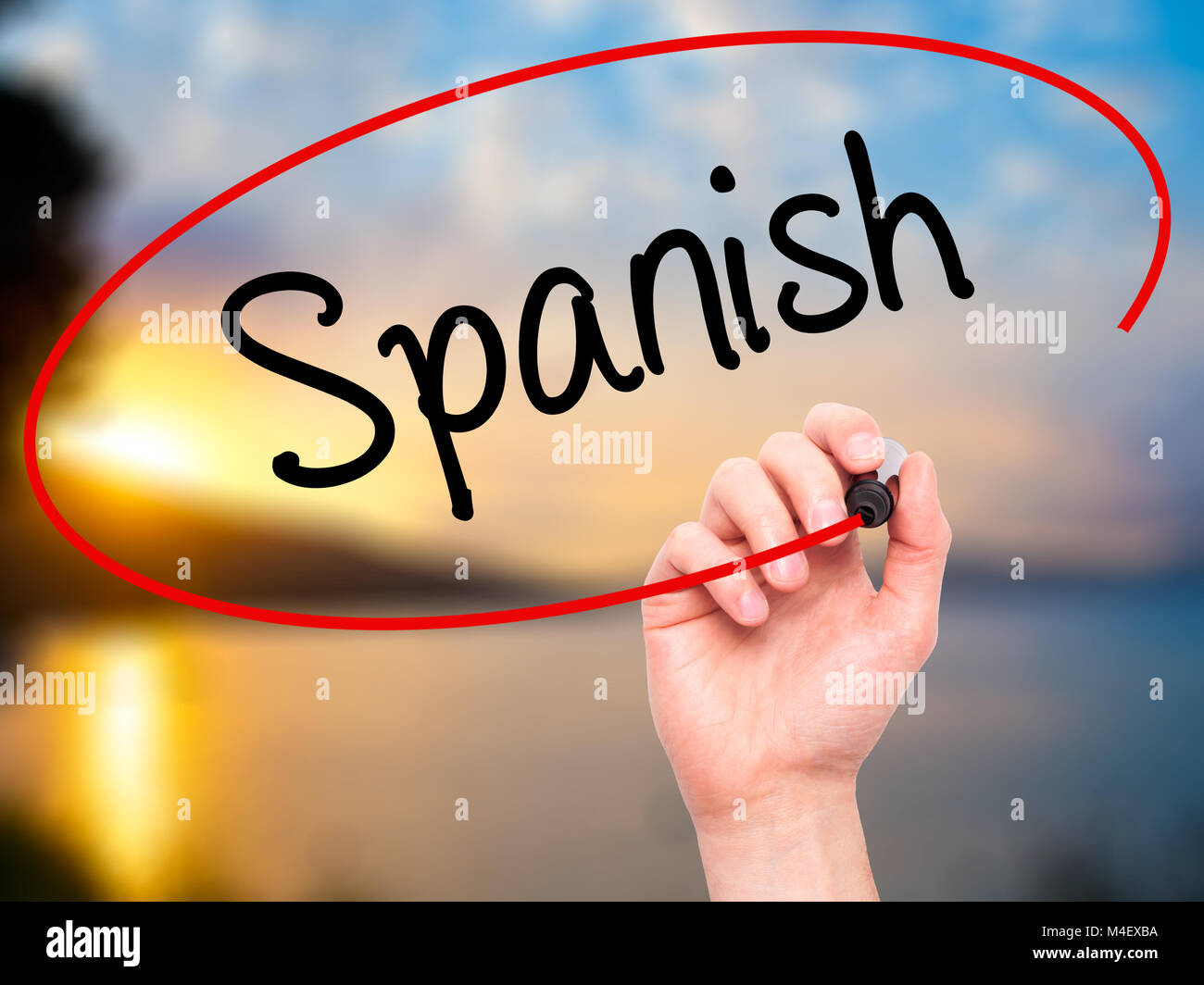 Mann Hand schreiben Spanisch mit schwarzem Marker auf visuelle Bildschirm Stockfoto