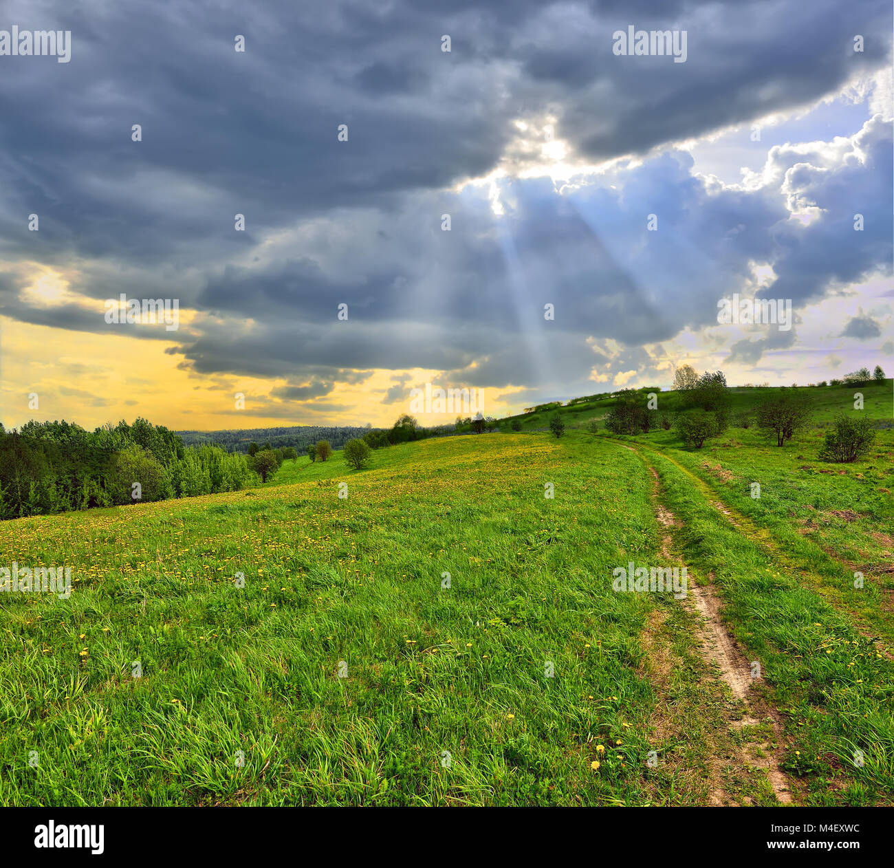 Sonnenstrahlen durch die Wolken schweben über die Wiese Stockfoto