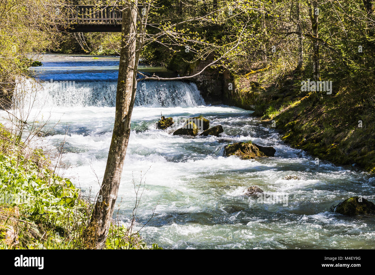 River vils Fotos und Bildmaterial in hoher Auflösung Alamy