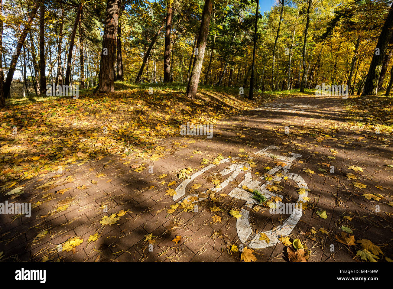 Bike Road Sign in einem Park im Herbst Stockfoto