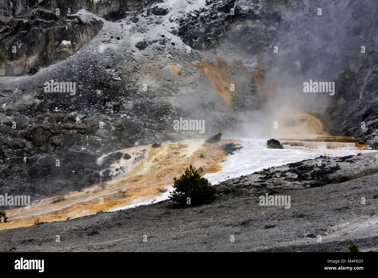 Travertin Terrassen, Mammoth Hot Springs, Yellowstone-Nationalpark Stockfoto