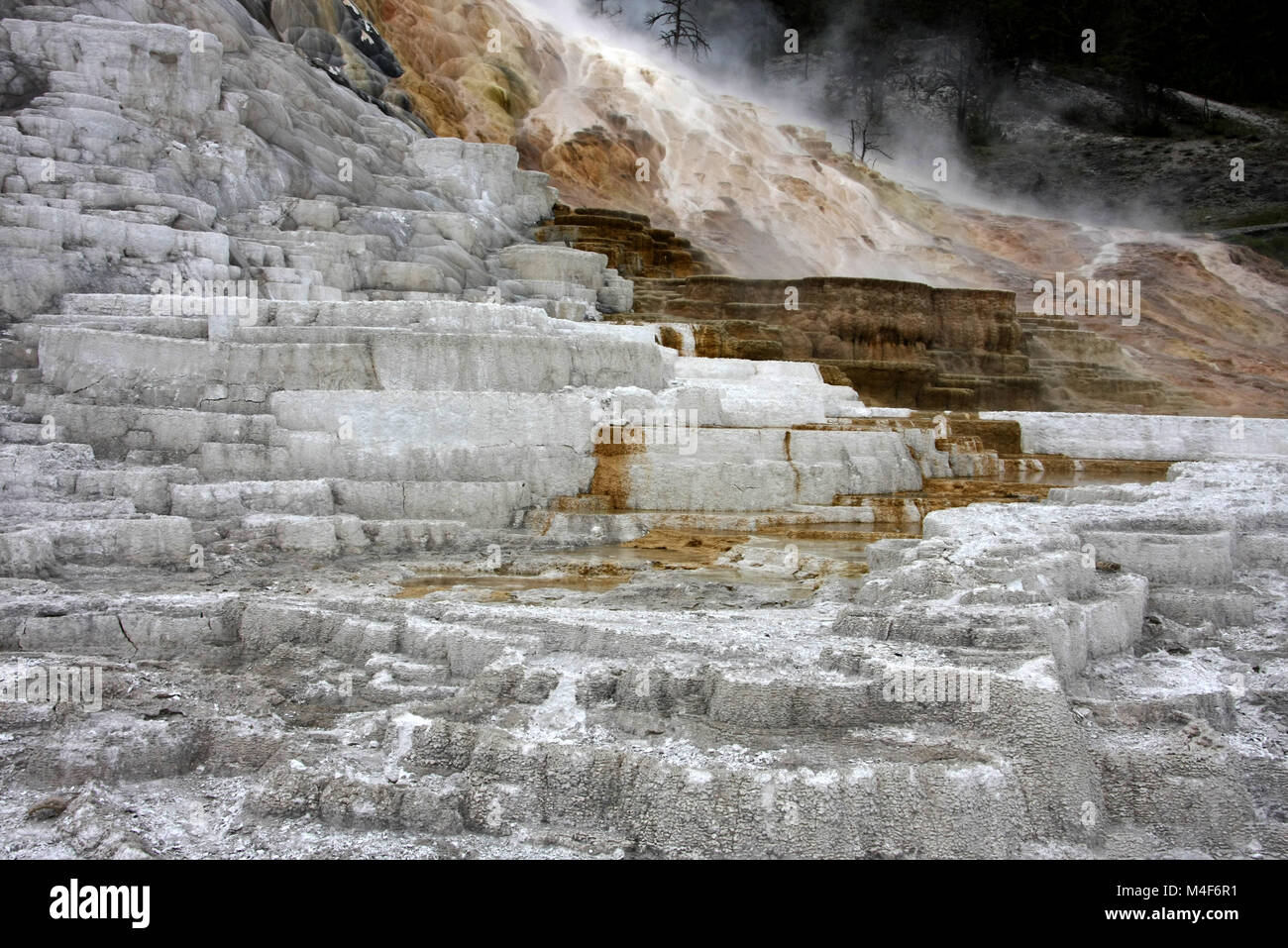 Travertin Terrassen, Mammoth Hot Springs, Yellowstone-Nationalpark Stockfoto