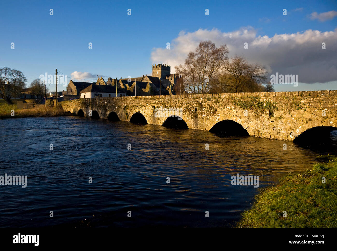 Kloster Zum Heiligen Kreuz 1180 gegründet wurde, mit Blick auf die Brücke über den Fluss Suir in der Flut, in der Nähe der Thurles, County Tipperary, Irland Stockfoto