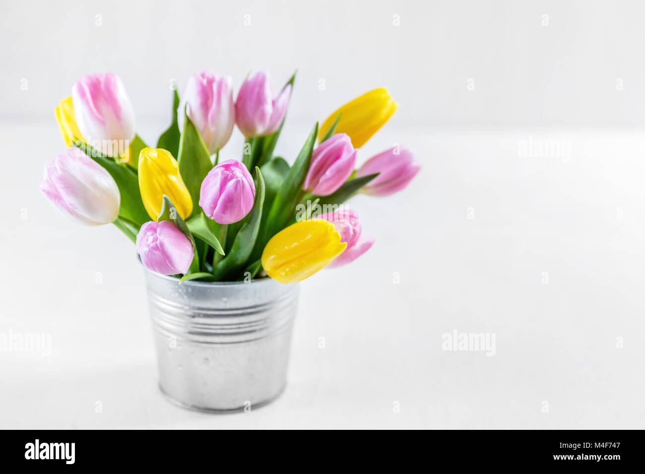 Strauß mit frischen Tulpen in einem Topf. Stockfoto