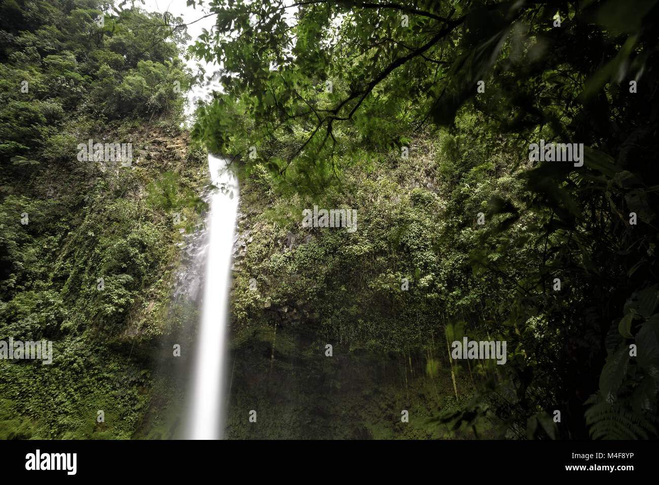 Wasserfall im Dschungel Stockfoto