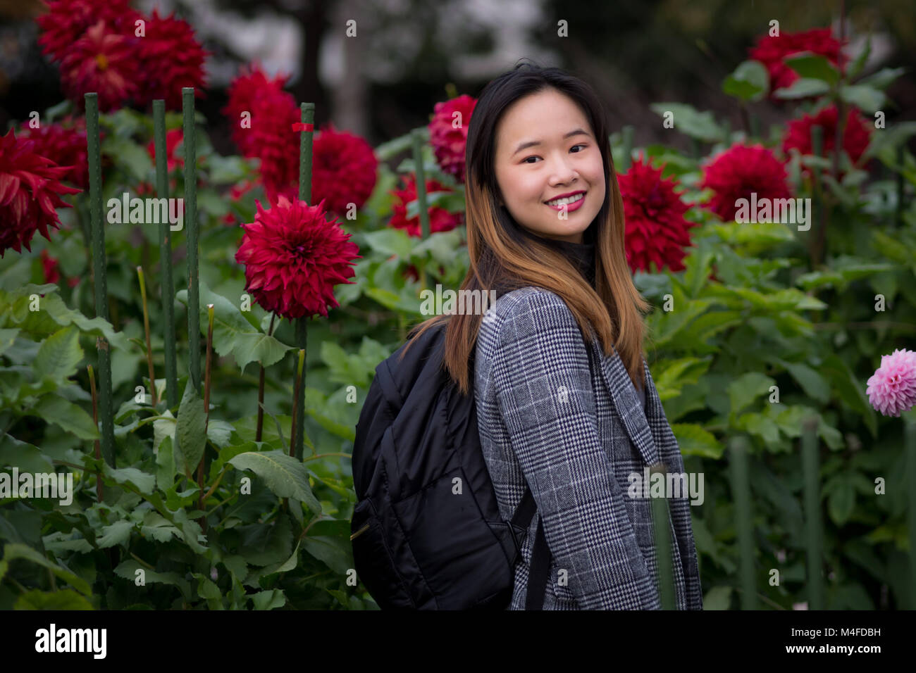 Schöne Frau neben dem roten Blumen in einem japanischen Garten posing Stockfoto