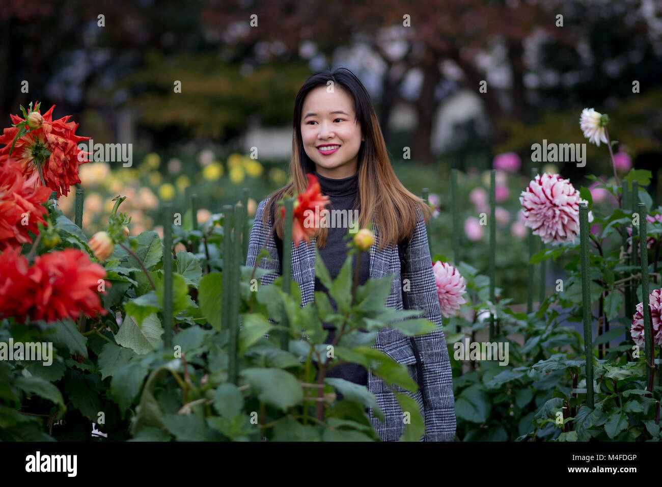 Schöne Frau in einem japanischen Garten posing Stockfoto