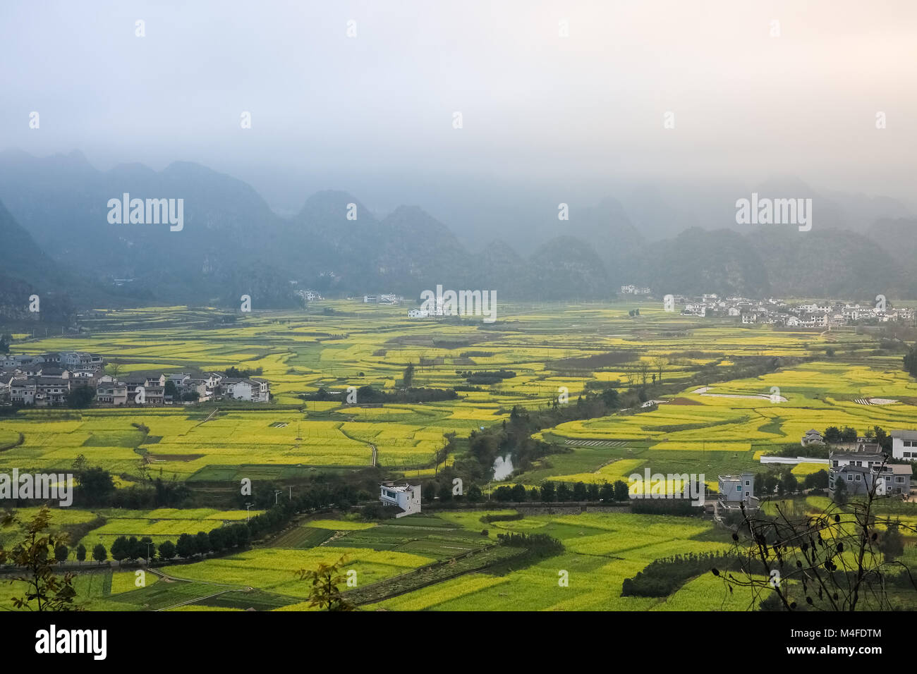 Yunnan Landschaft von Raps blumen Feld Stockfoto