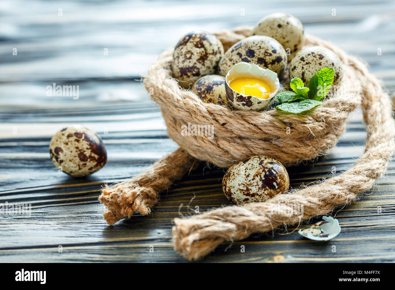 Wachtel Eier in ein Nest von Hanf. Stockfoto