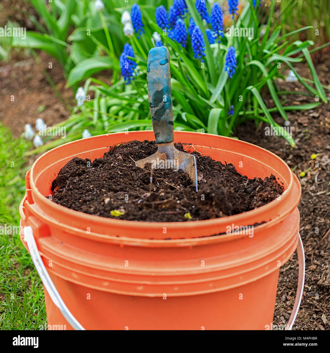 Ein Eimer voller Kompost mit einem Garten Kelle im heimischen Garten. Stockfoto