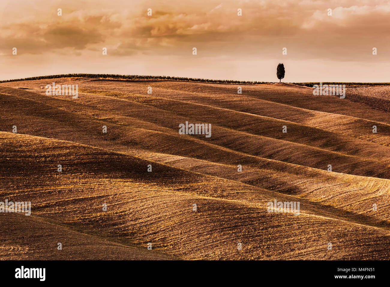 Felder Herbst Landschaft der Toskana, Italien. Erntezeit Stockfoto